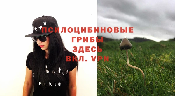 прущий лед Богданович