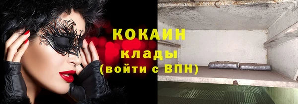 прущий лед Богданович