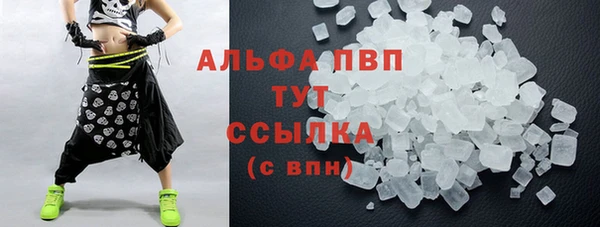 прущий лед Богданович