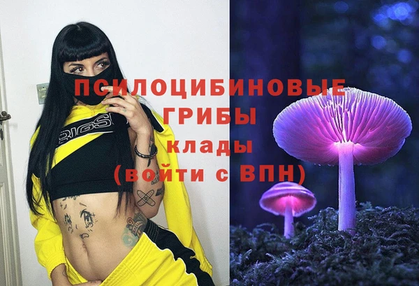 прущий лед Богданович