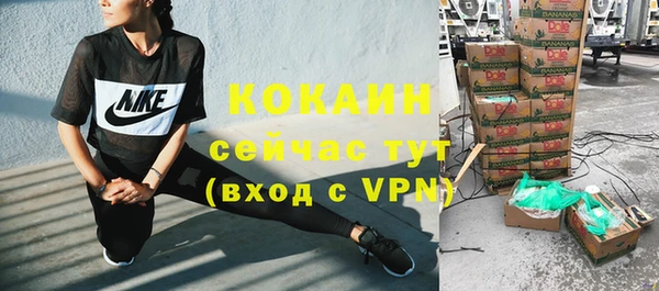 прущий лед Богданович