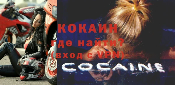 прущий лед Богданович